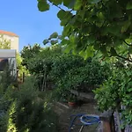 Okrug Gornji 1069a דירה *